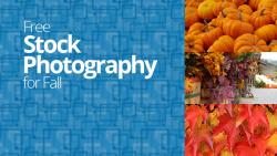 Free Stock Images for Fall